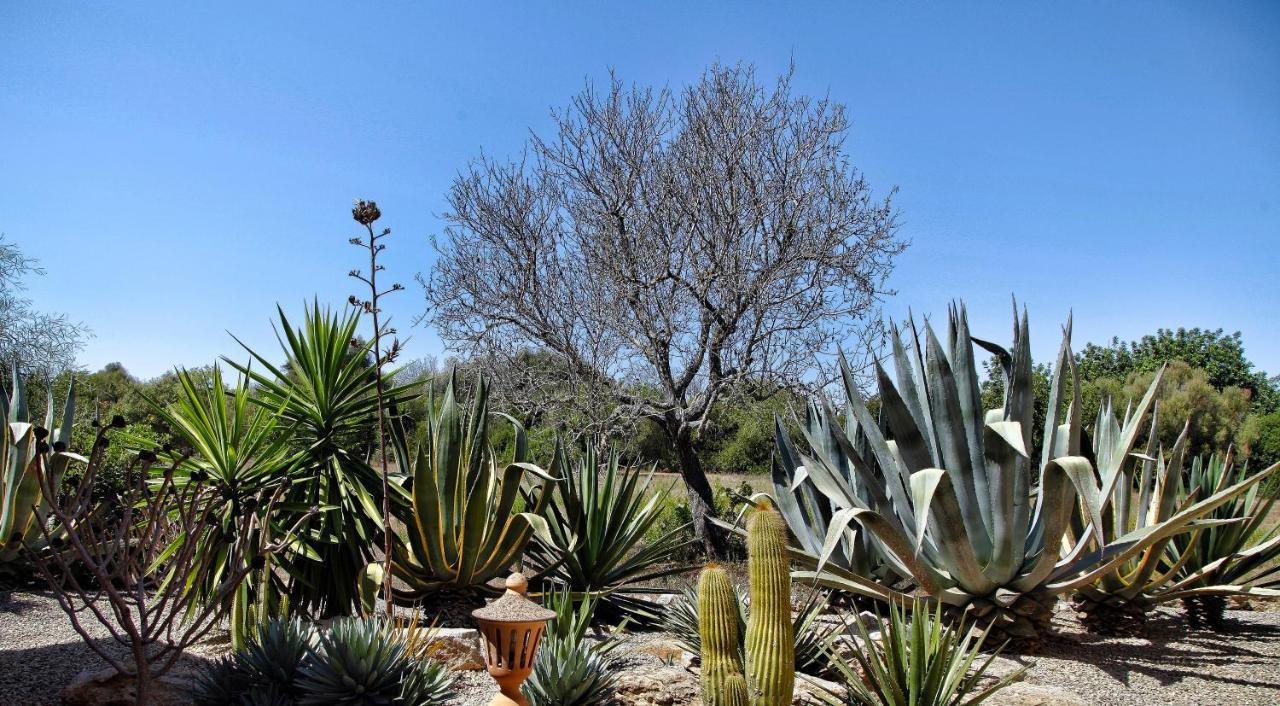 Finca Casa Mas Santanyí Kültér fotó