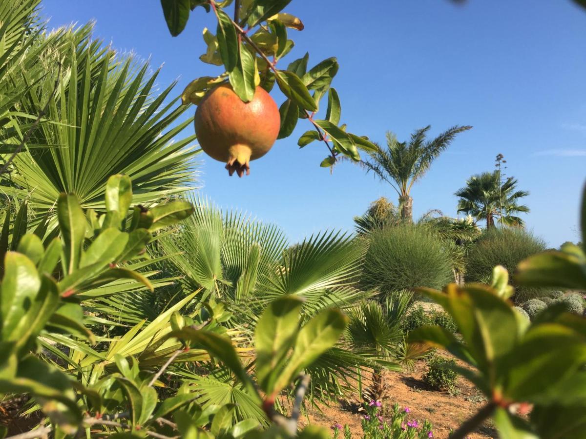 Finca Casa Mas Santanyí Kültér fotó